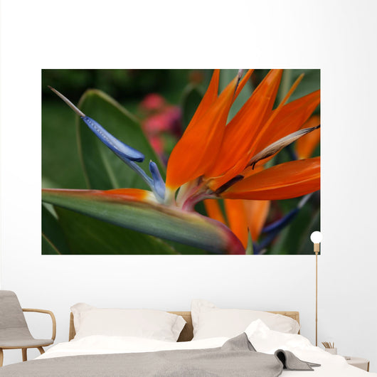 Flower Wall Mural