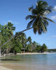 Bopai Beach Wall Decal Design 2