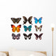 Some Various Butterflies White Wall Decal Design 2