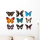 Some Various Butterflies White Wall Decal Design 2