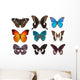 Some Various Butterflies White Wall Decal Design 2