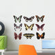 Some Various Butterflies White Wall Mural