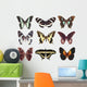 Some Various Butterflies White Wall Mural
