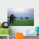 Horses Mist Wall Decal
