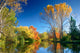 Fall Landscape Wall Decal