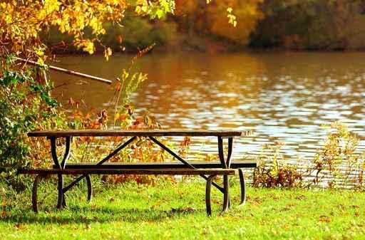 Picnic Water Wall Mural