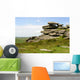 Cheesewring Wall Decal Design 1
