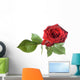Rose Wall Mural