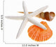 Sea Shell and Starfish Wall Decal