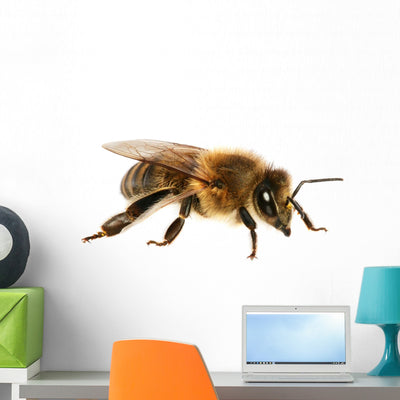 Bee Wall Decal shown on a wall