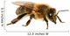 Bee Wall Decal