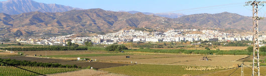 Pano Velez Spain Wall Decal