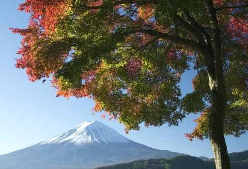 Mount Fuji Fall V Wall Decal