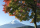 Mount Fuji Fall V Wall Decal