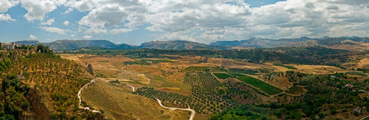 Ronda Spain Wall Decal