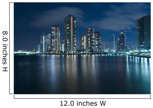 modern Tokyo at night Wall Mural