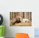 Camel Mother Wit Baby Wall Mural