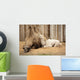 Camel Mother Wit Baby Wall Mural