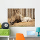 Camel Mother Wit Baby Wall Mural