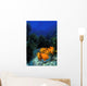 Garibaldi fishes in a kelp forest Wall Mural