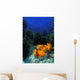 Garibaldi fishes in a kelp forest Wall Mural
