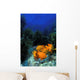 Garibaldi fishes in a kelp forest Wall Mural