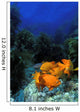 Garibaldi fishes in a kelp forest Wall Mural