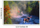 Bull Moose in Stream Wall Mural