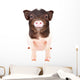 Charming Little Pig Wall Decal