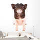 Charming Little Pig Wall Decal