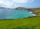 Irish Landscape Wall Decal Design 2