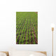 Field Lines Wall Decal Design 3