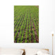 Field Lines Wall Decal Design 3