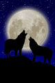 Wlfe Vor Dem Mond Wall Decal