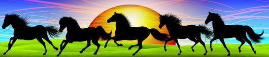 Cavallo Selvaggio-Horse Banner-Cheval Sauvage Wall Mural
