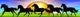 Cavallo Selvaggio-Horse Banner-Cheval Sauvage Wall Mural