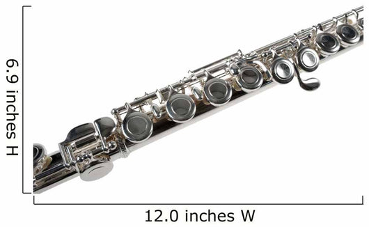 Detail Silver Flute White