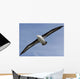 Black-Browed Albatross Diomedea Melanophris Wall Mural