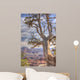 Tree Overlooking Grand Canyon Wall Mural