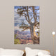 Tree Overlooking Grand Canyon Wall Mural