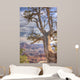 Tree Overlooking Grand Canyon Wall Mural