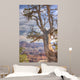 Tree Overlooking Grand Canyon Wall Mural