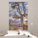 Tree Overlooking Grand Canyon Wall Mural