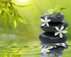 Spa Still Life With White Flowers Wall Mural
