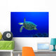 Hawksbill Sea Turtle Wall Mural