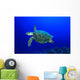 Hawksbill Sea Turtle Wall Mural