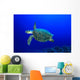 Hawksbill Sea Turtle Wall Mural