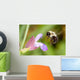 Honeybee Hovering over Flower Wall Mural