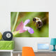 Honeybee Hovering over Flower Wall Mural