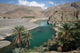 Green Oasis Wall Mural